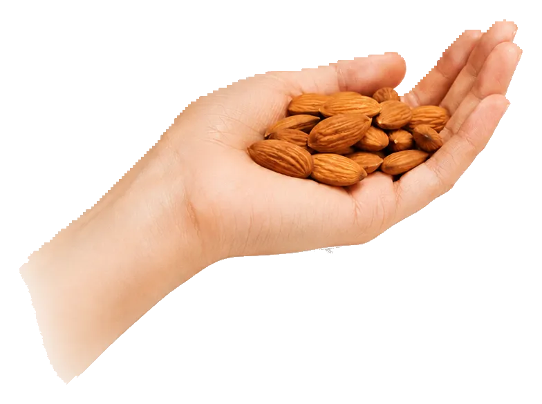 Close-up detail of wholesale almonds