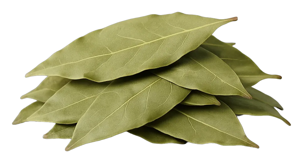 Wholesale bay leaves
