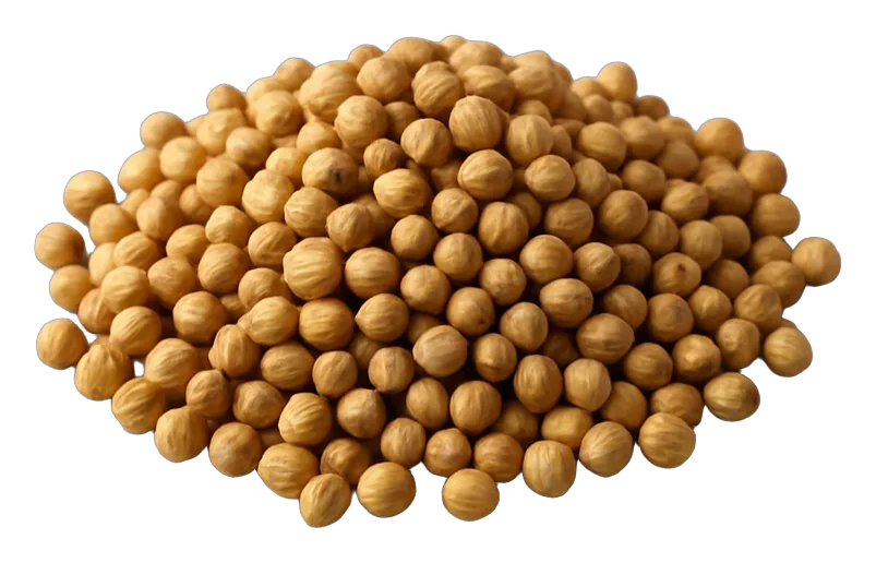 Wholesale coriander