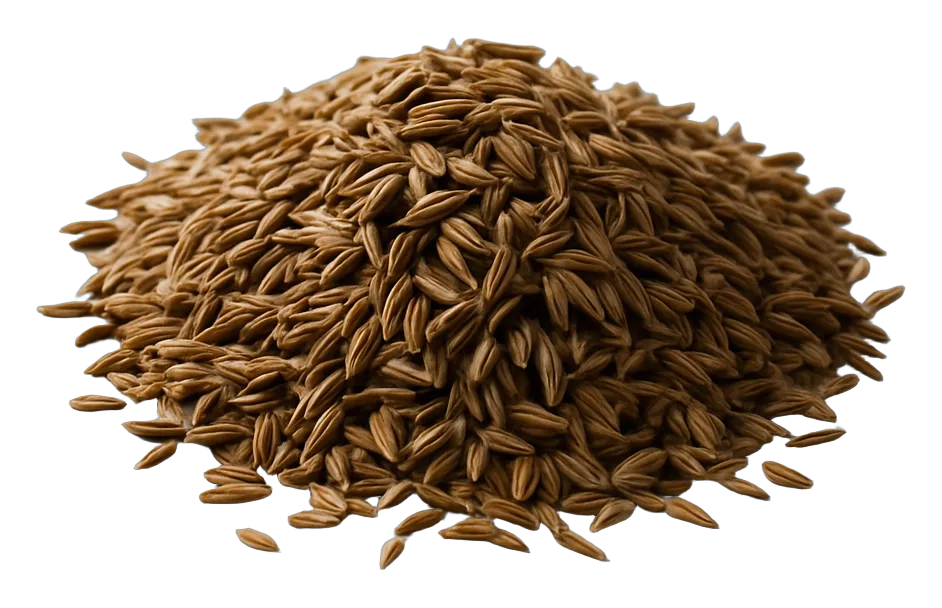 Wholesale cumin