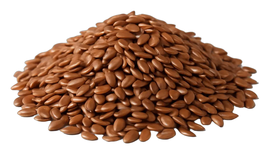 Wholesale flax seeds