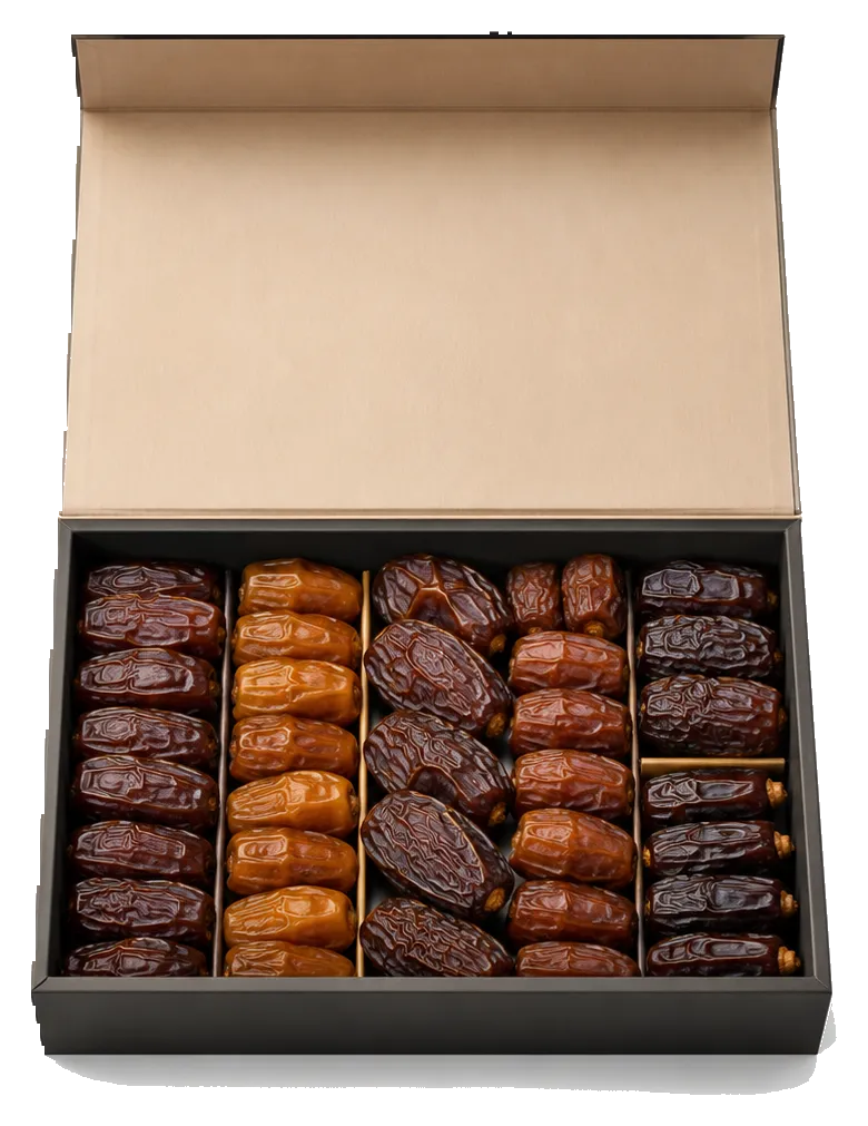 Wholesale dates presented in a retail gift box