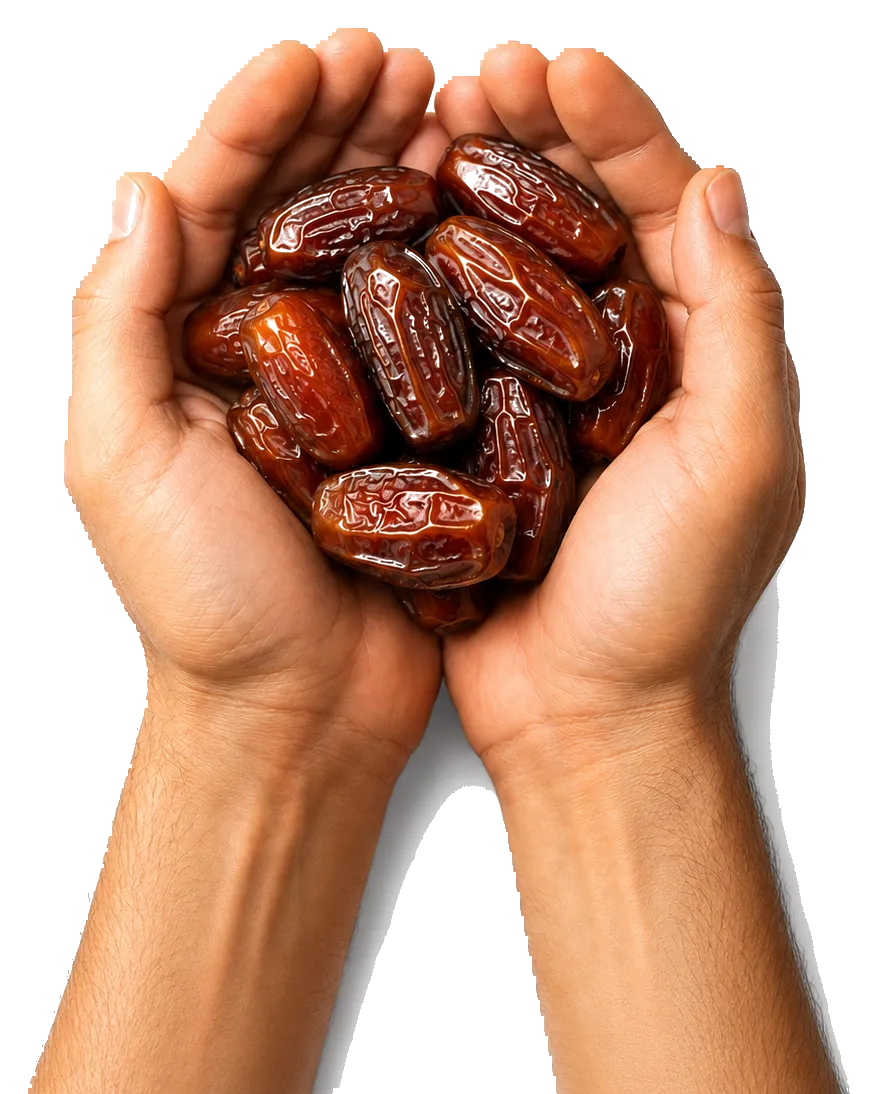 Graded dates selected for the UAE wholesale trade