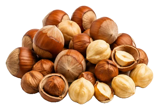 Wholesale hazelnuts