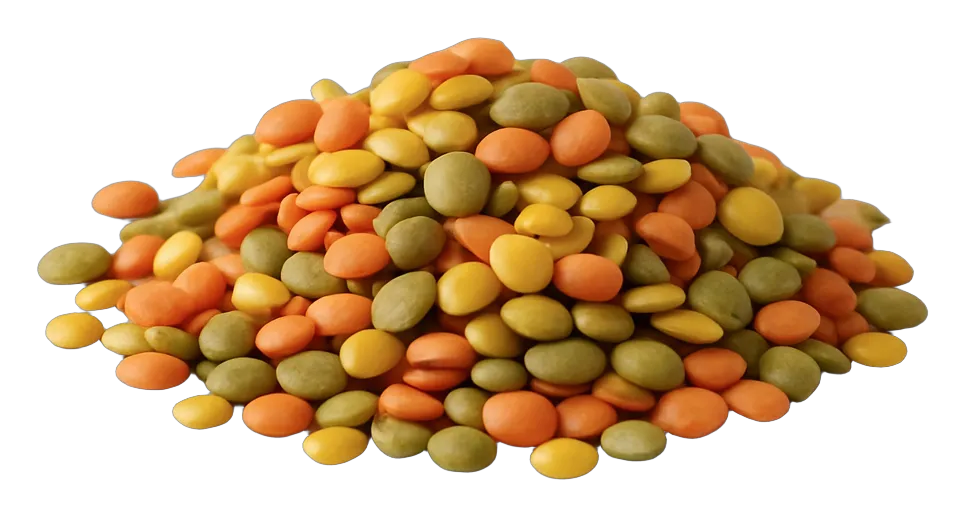 Wholesale lentils