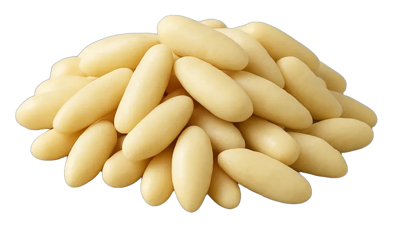 Wholesale pine nuts