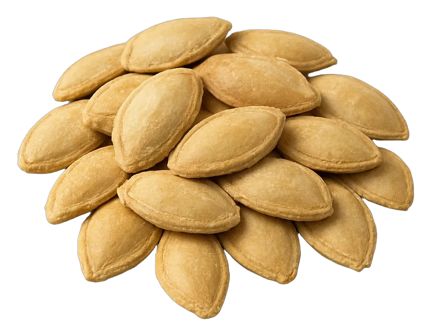 Wholesale squash seeds
