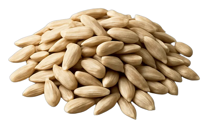 Wholesale sunflower seed kernel
