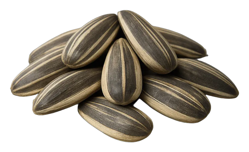 Wholesale sunflower seeds